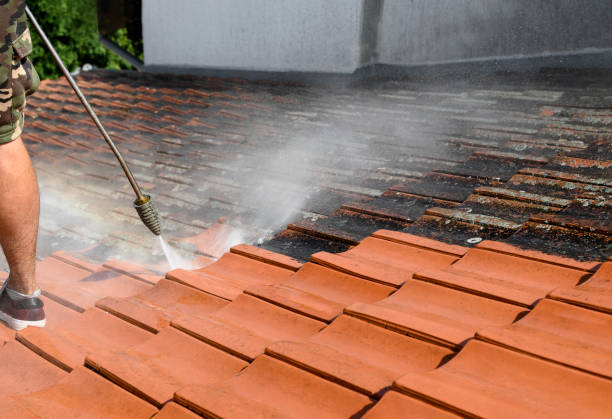 Best Power Washing Near Me  in Lake Mary, FL